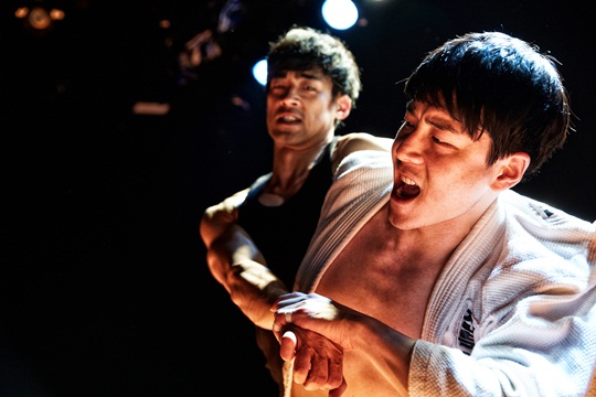 ƼºêÀ̵¥Àϸ® Æ÷Åä