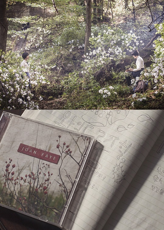 ƼºêÀ̵¥Àϸ® Æ÷Åä