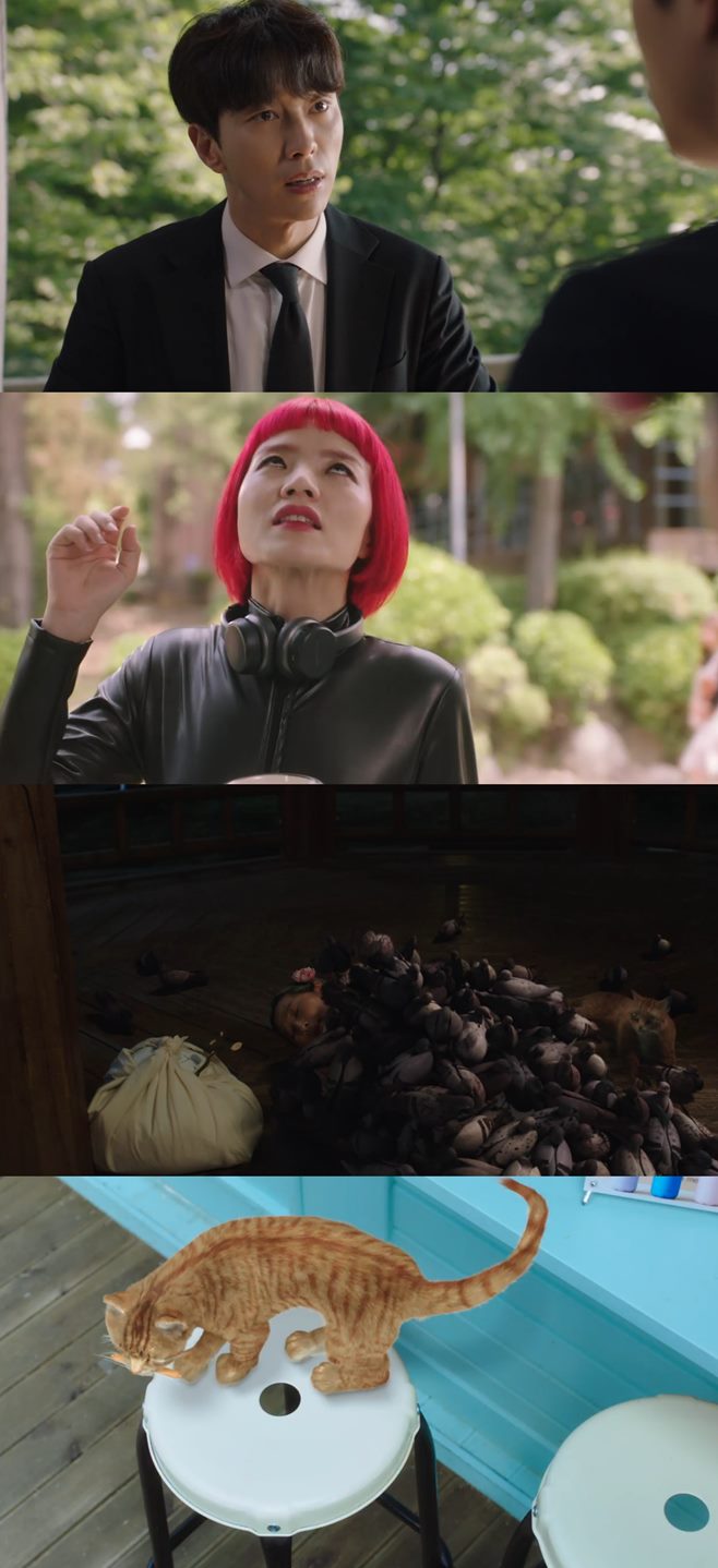 ƼºêÀ̵¥Àϸ® Æ÷Åä