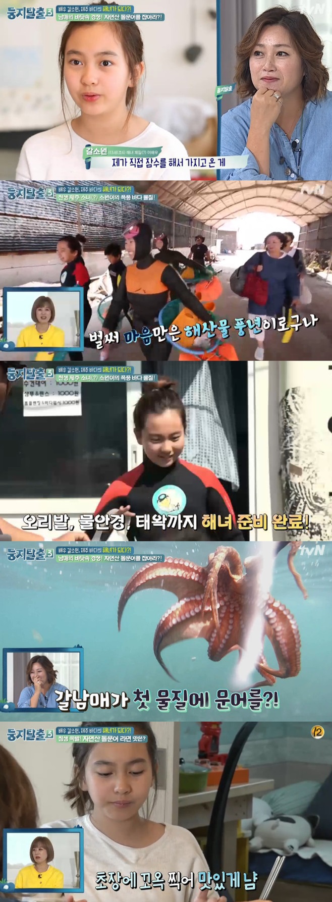 ƼºêÀ̵¥Àϸ® Æ÷Åä