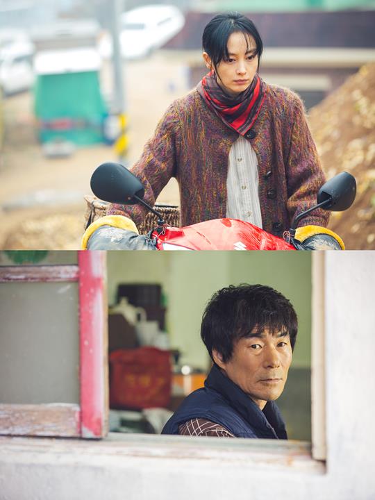 ƼºêÀ̵¥Àϸ® Æ÷Åä