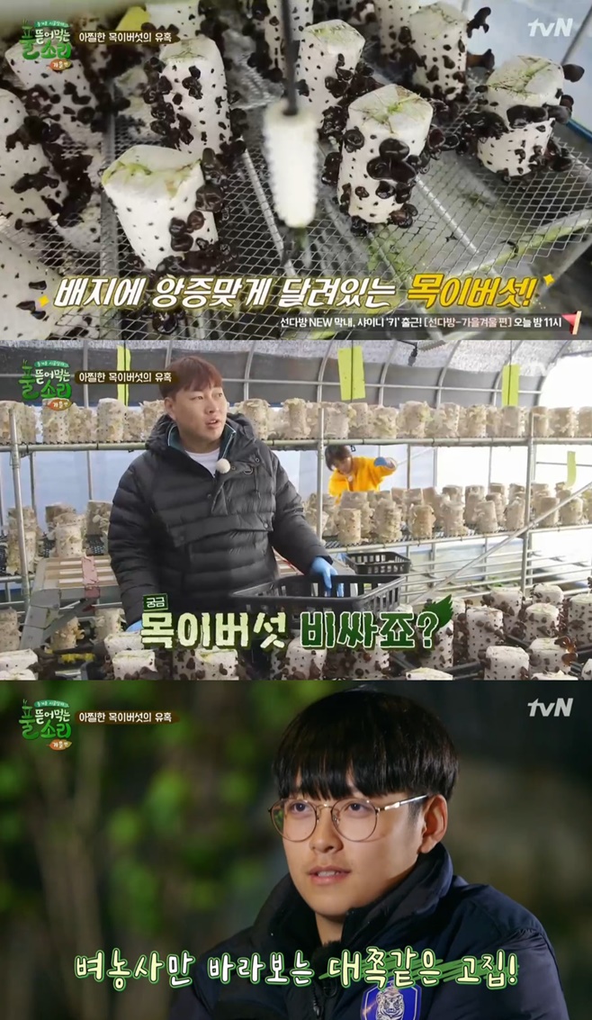 Ƽ���̵��ϸ� ����