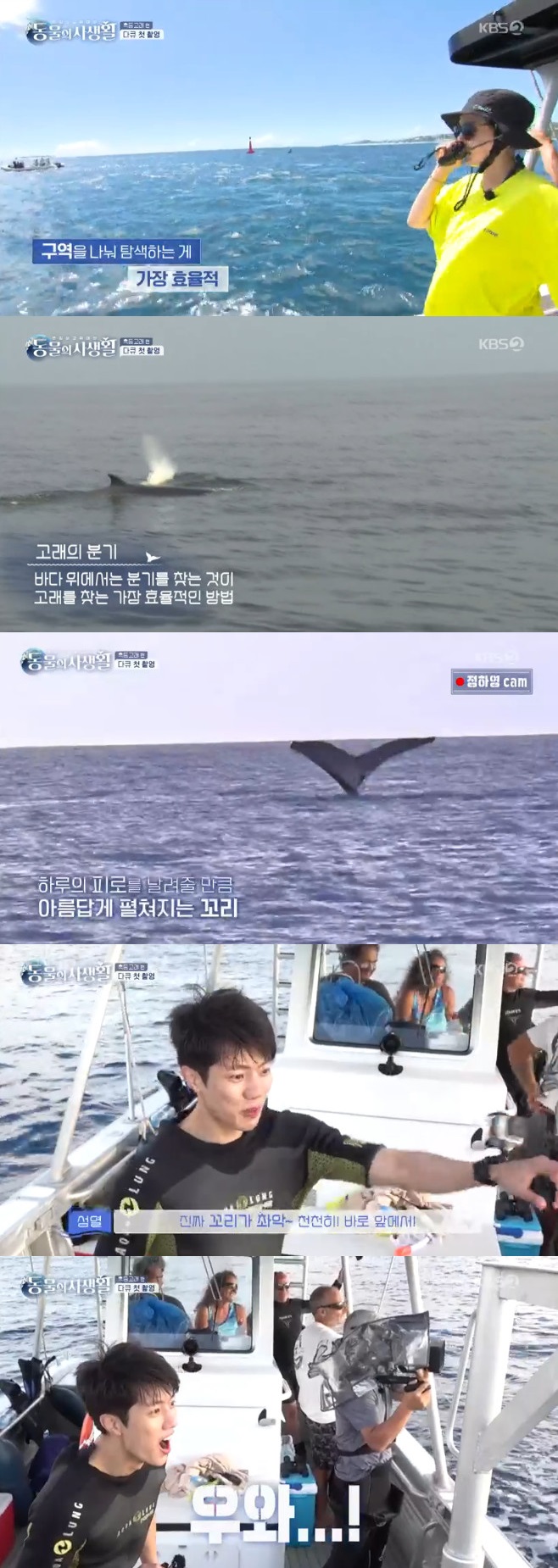 Ƽ���̵��ϸ� ����