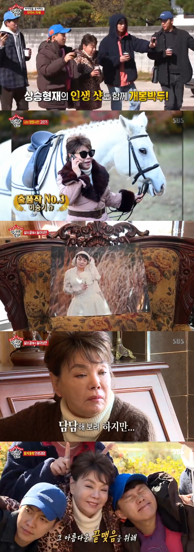 Ƽ���̵��ϸ� ����