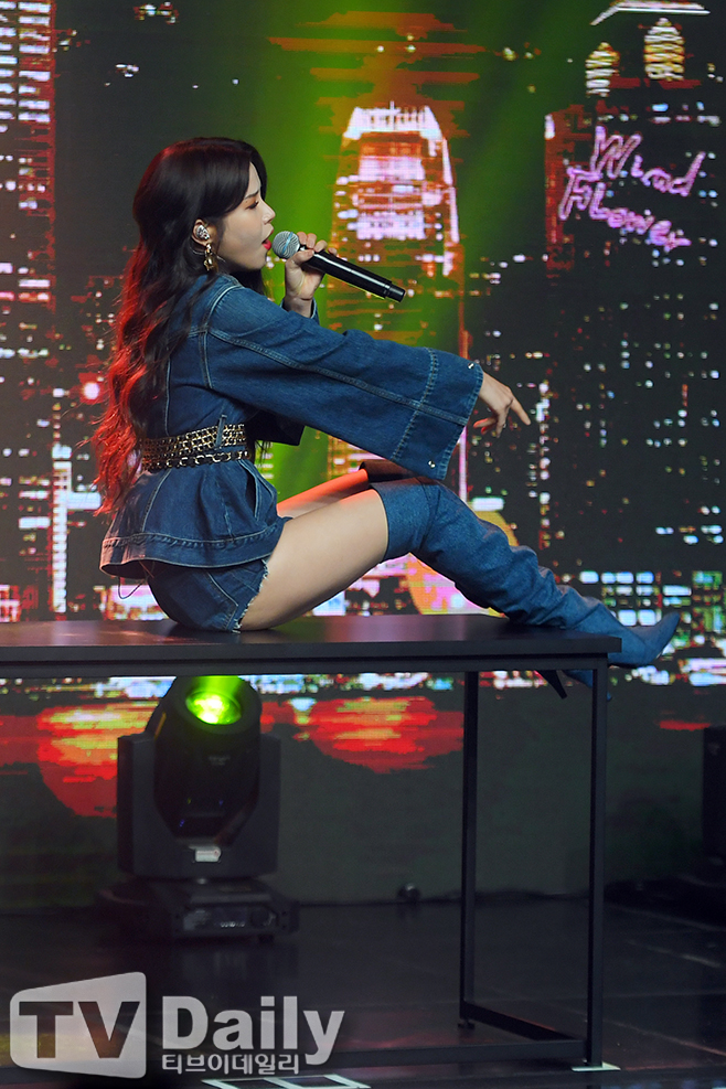 티브이데일리 포토