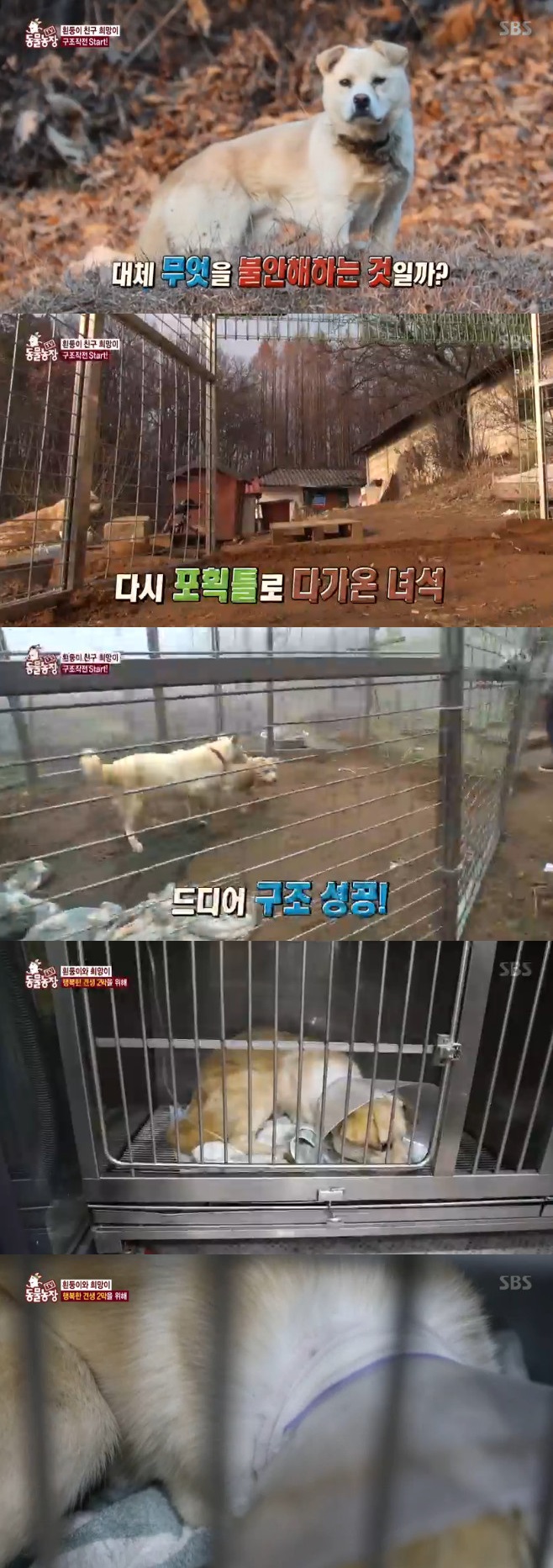 Ƽ���̵��ϸ� ����