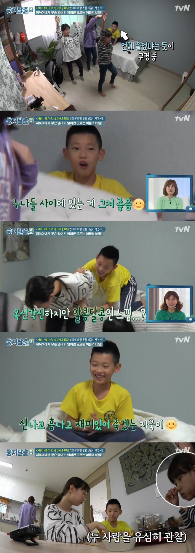 Ƽ���̵��ϸ� ����