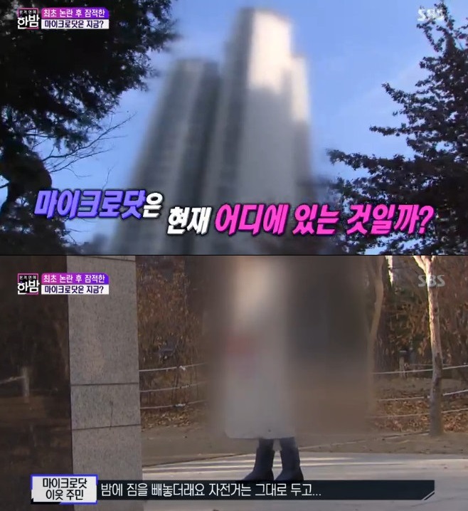 Ƽ���̵��ϸ� ����