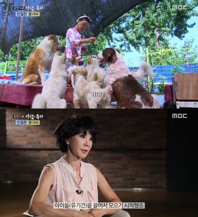 Ƽ���̵��ϸ� ����