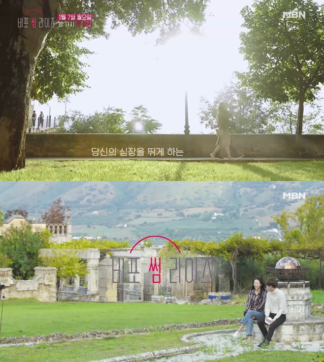 Ƽ���̵��ϸ� ����