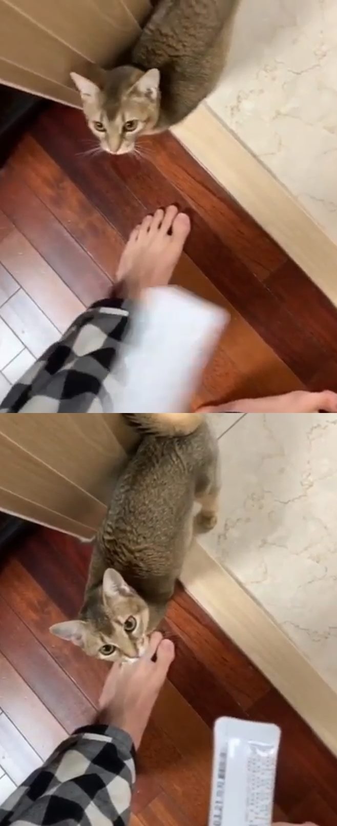 Ƽ���̵��ϸ� ����