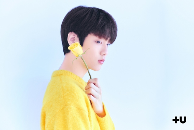티브이데일리 포토