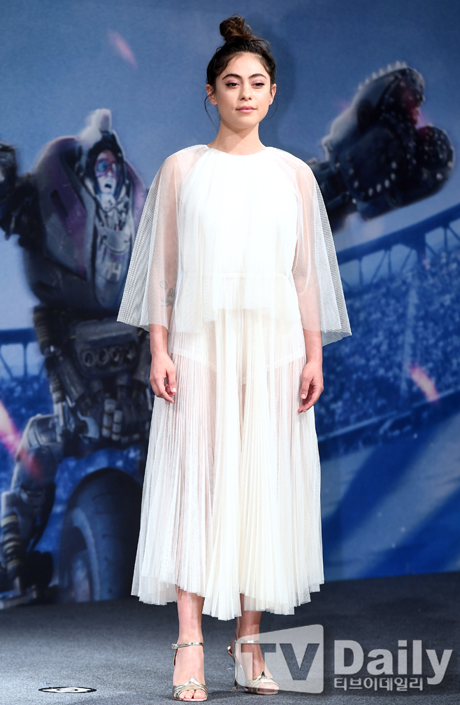 ƼºêÀ̵¥Àϸ® Æ÷Åä