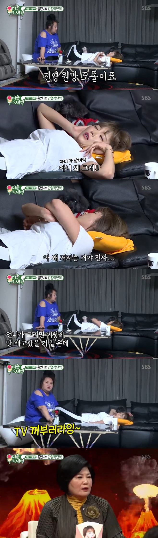 Ƽ���̵��ϸ� ����