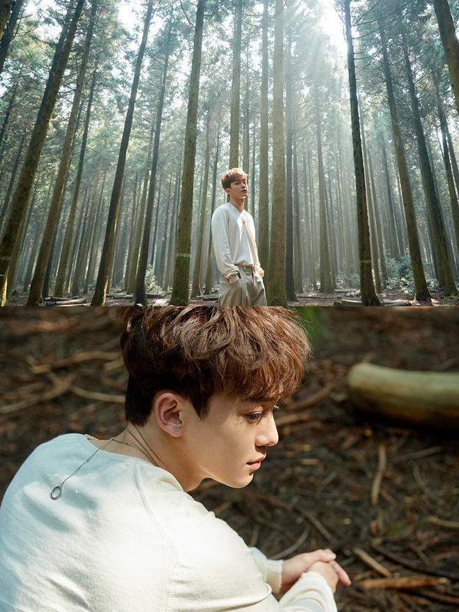 Ƽ���̵��ϸ� ����