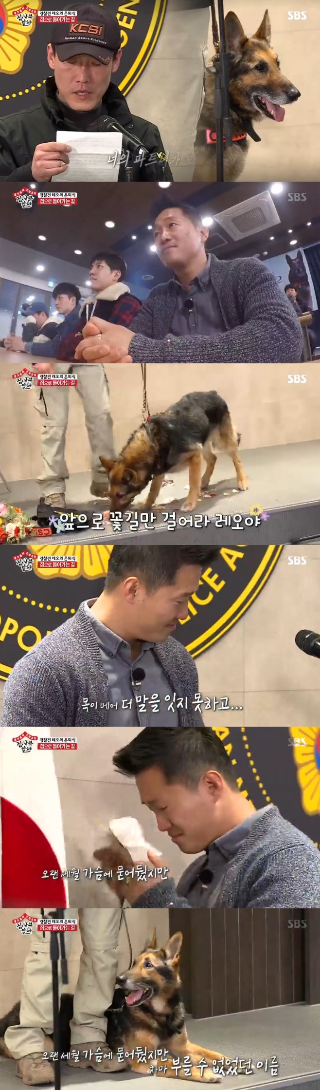 Ƽ���̵��ϸ� ����