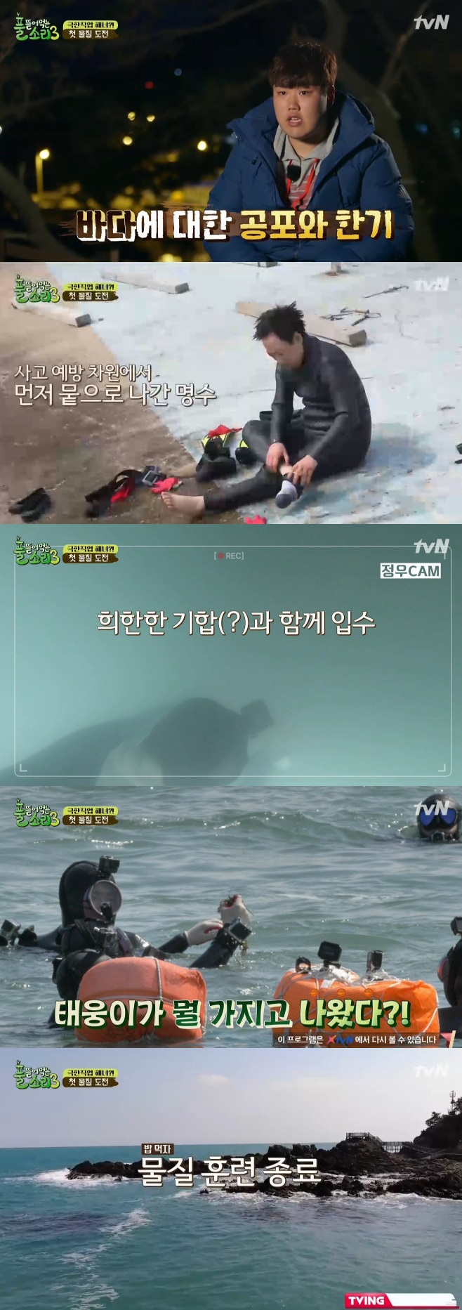 Ƽ���̵��ϸ� ����