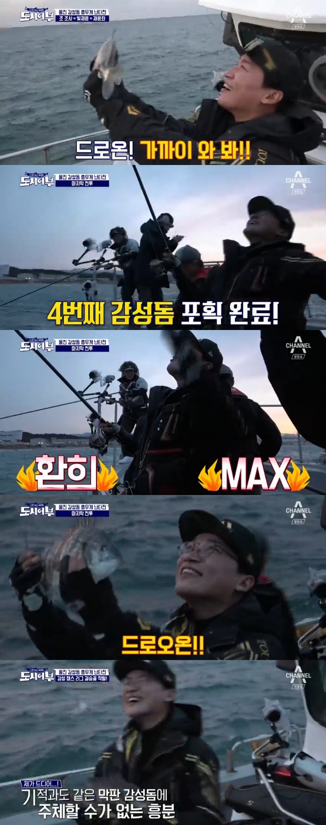 티브이데일리 포토