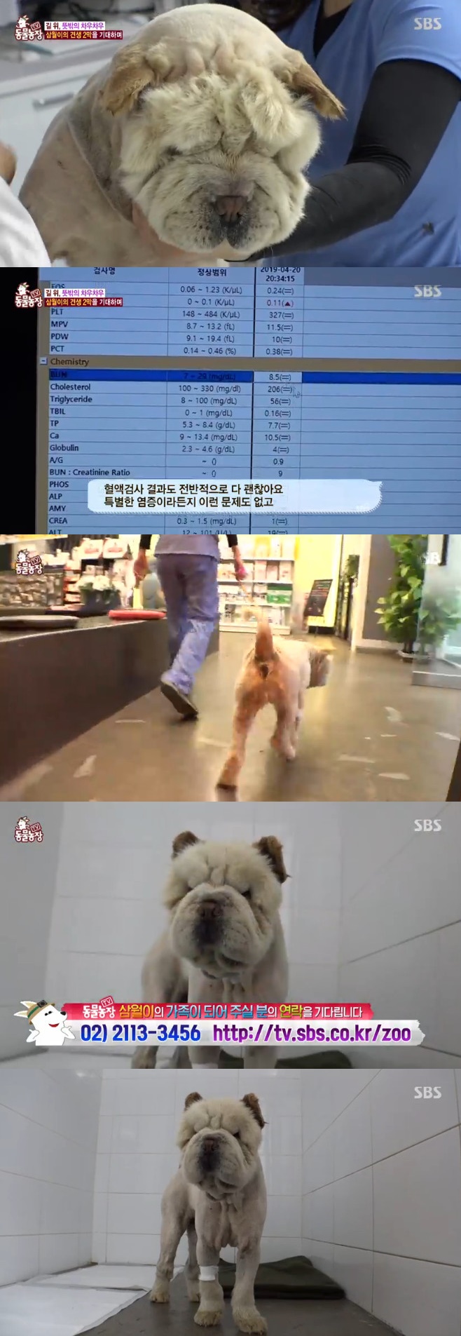 Ƽ���̵��ϸ� ����