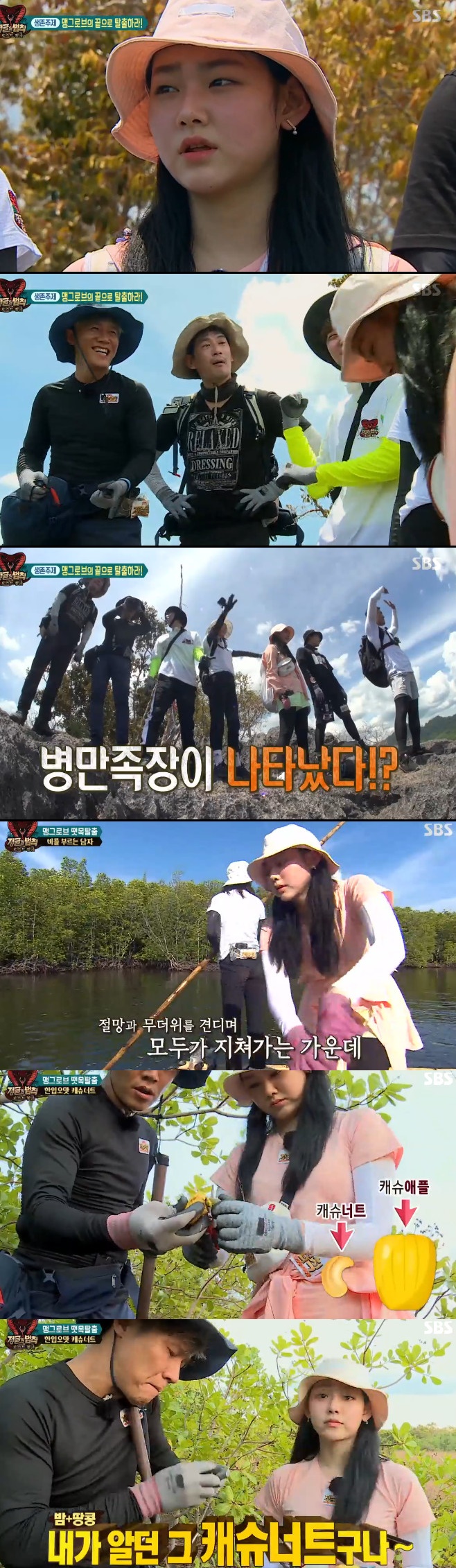 Ƽ���̵��ϸ� ����