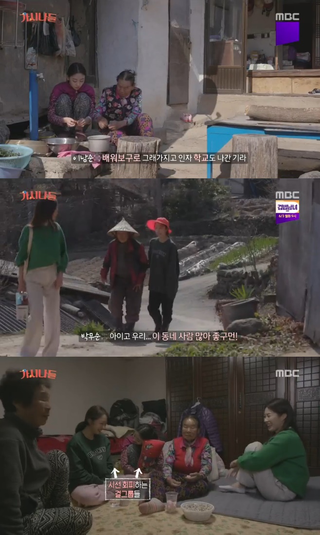 ƼºêÀ̵¥Àϸ® Æ÷Åä