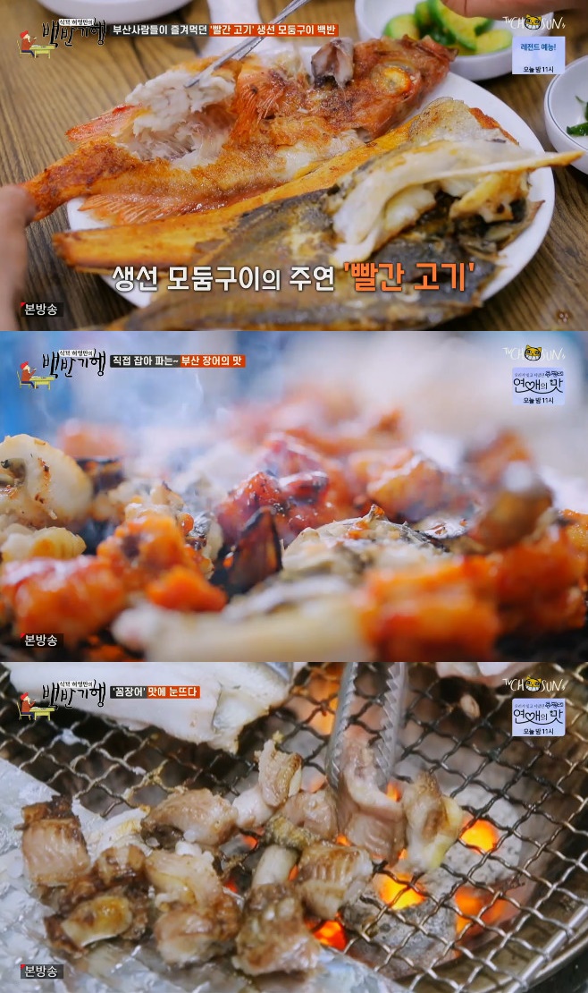 티브이데일리 포토