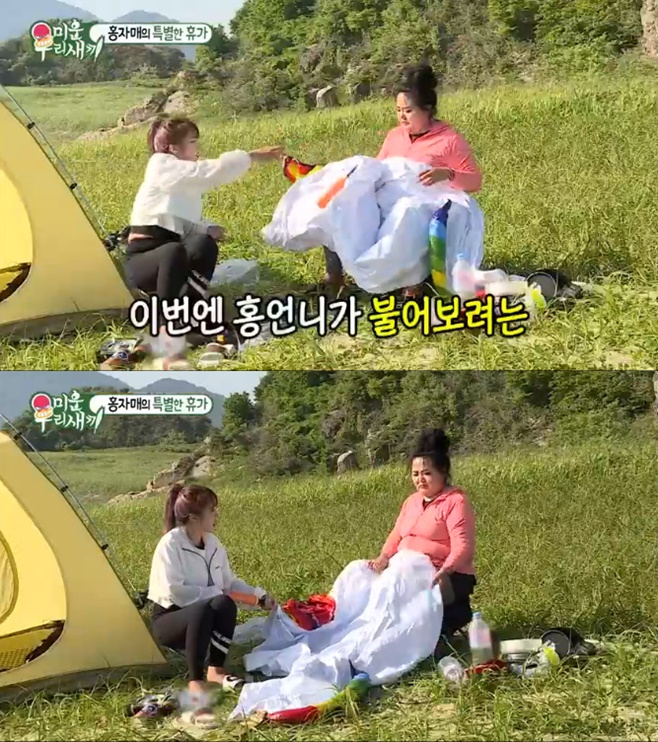 ƼºêÀ̵¥Àϸ® Æ÷Åä