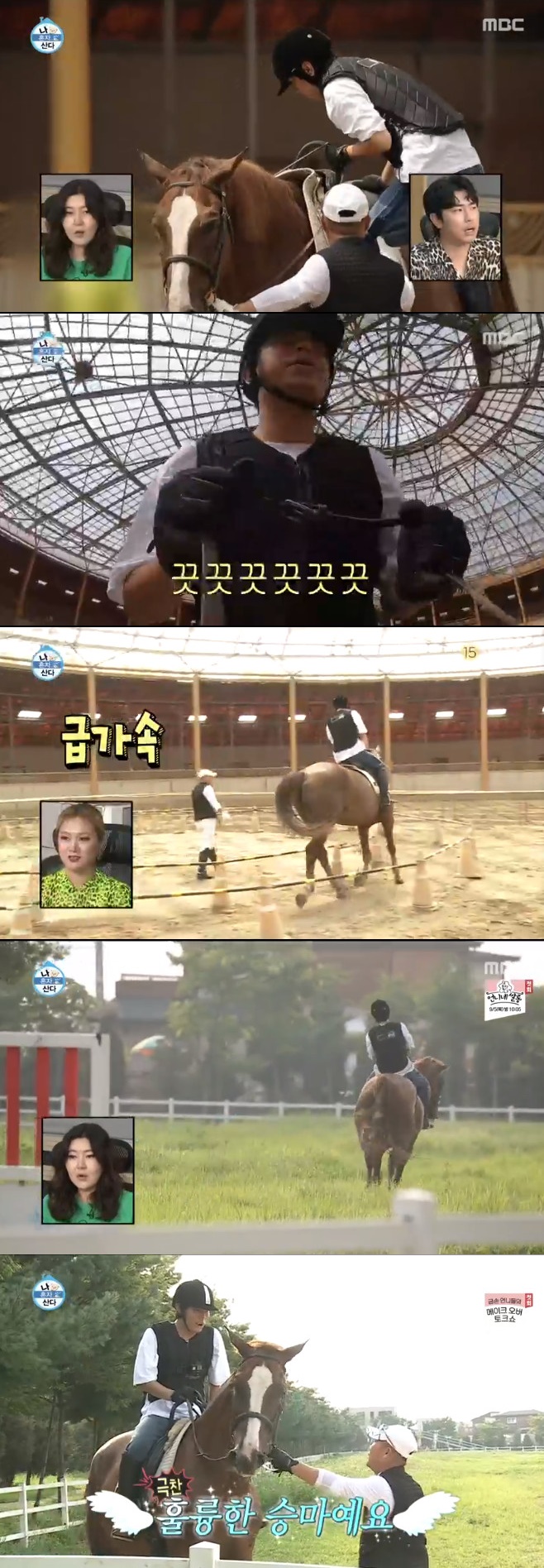 Ƽ���̵��ϸ� ����