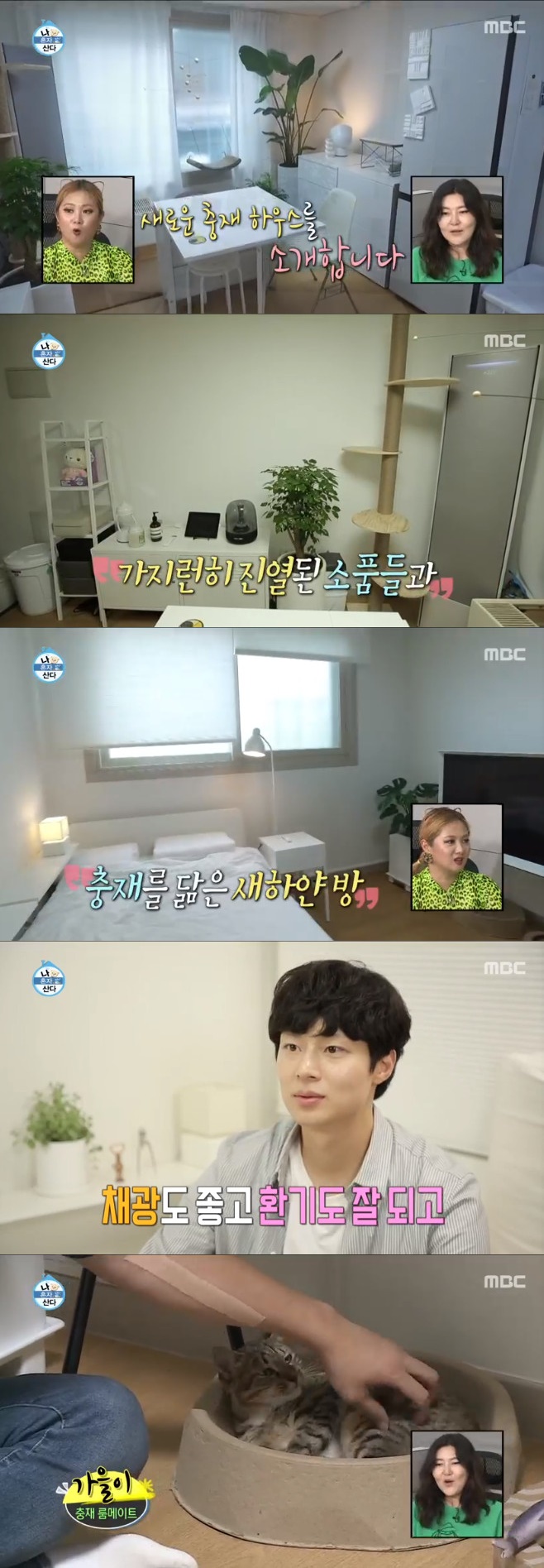 Ƽ���̵��ϸ� ����