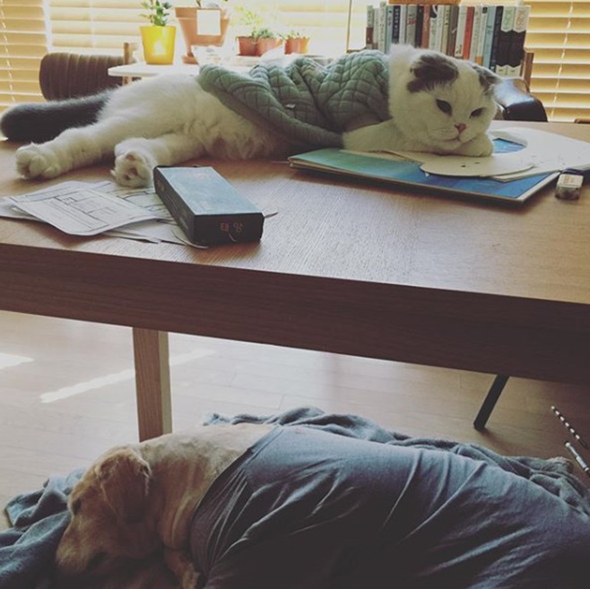 Ƽ���̵��ϸ� ����