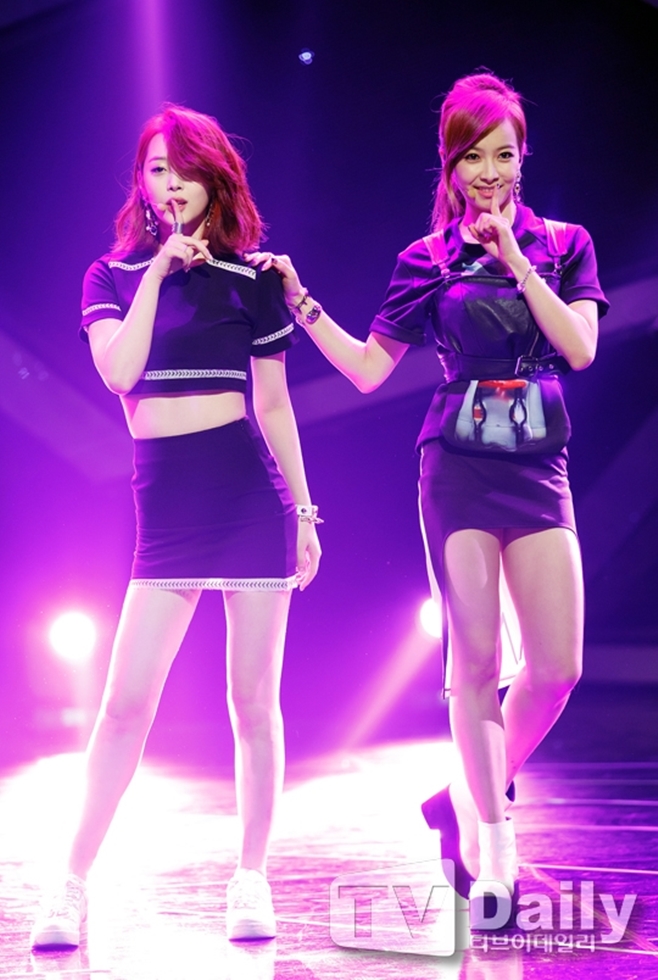 ƼºêÀ̵¥Àϸ® Æ÷Åä