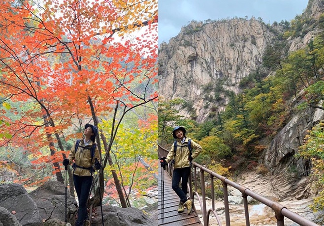 Ƽ���̵��ϸ� ����