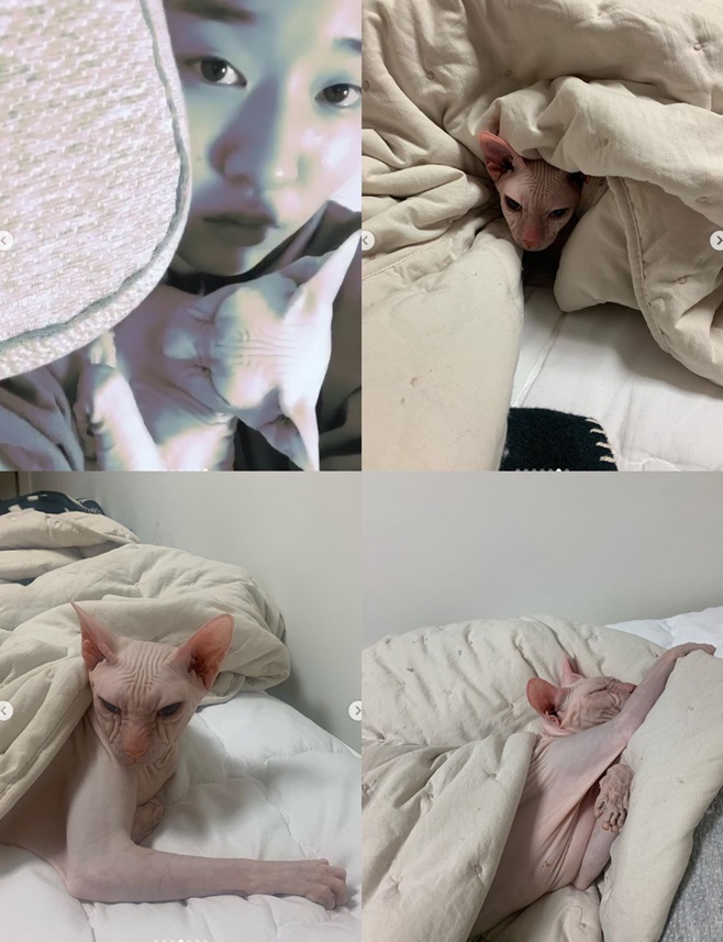 ƼºêÀ̵¥Àϸ® Æ÷Åä