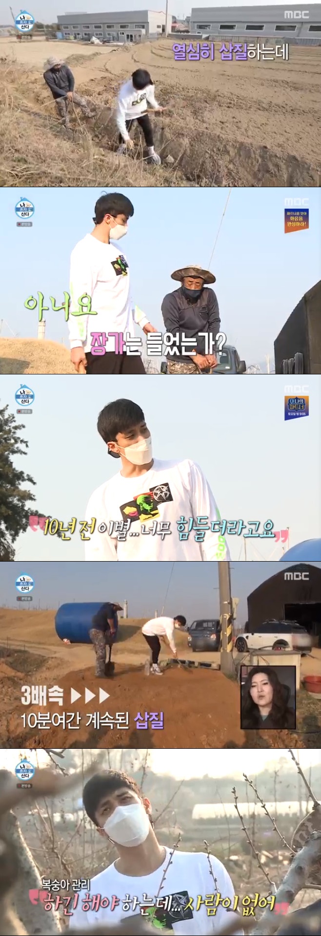 Ƽ���̵��ϸ� ����