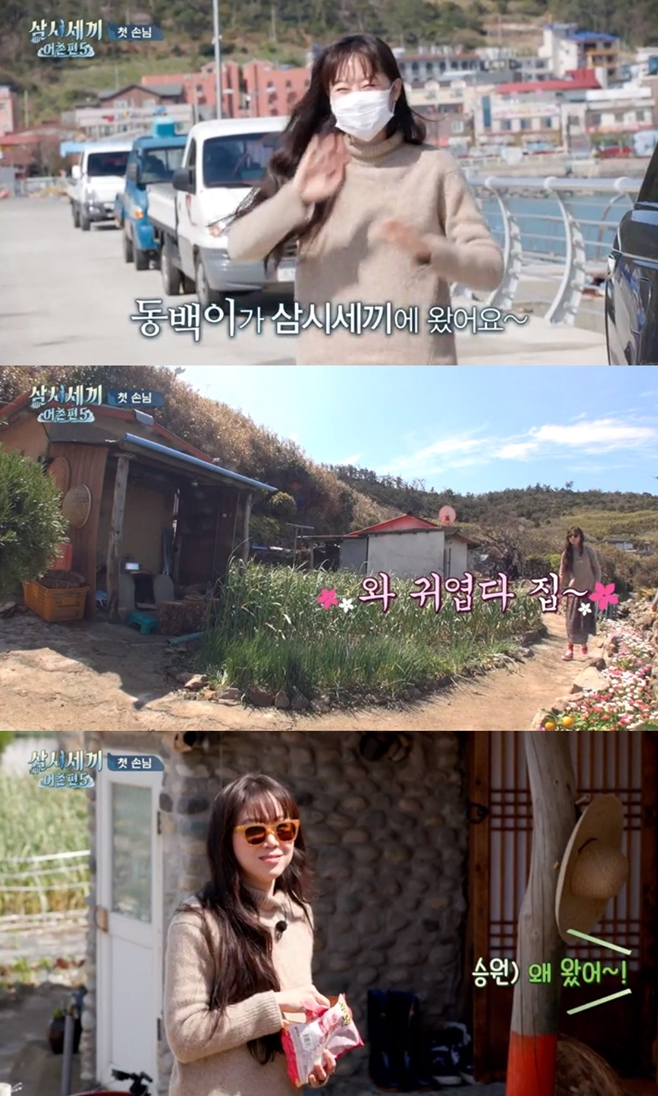 티브이데일리 포토