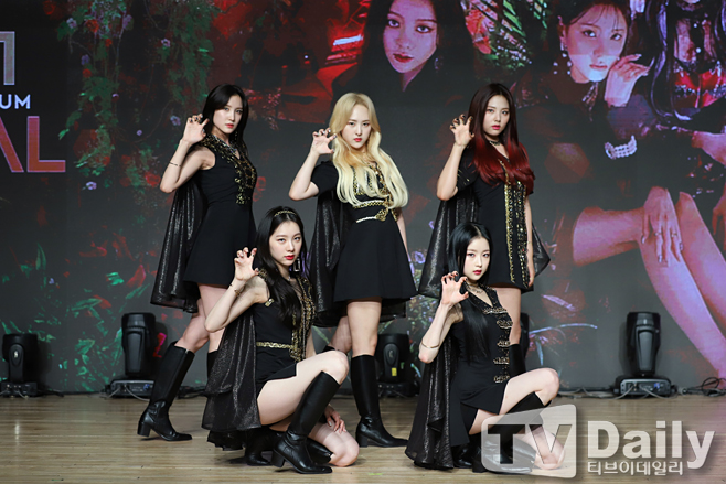 ƼºêÀ̵¥Àϸ® Æ÷Åä