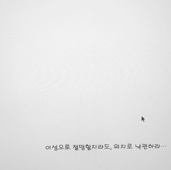 티브이데일리 포토