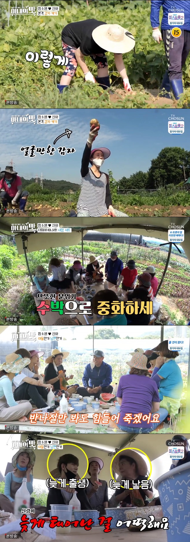 ƼºêÀ̵¥Àϸ® Æ÷Åä