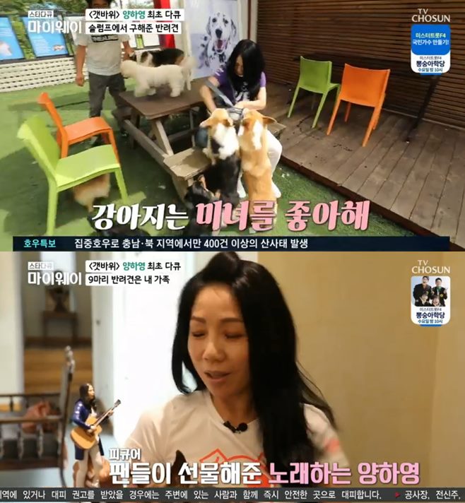 티브이데일리 포토
