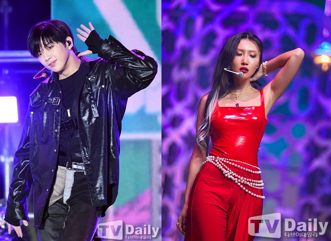 티브이데일리 포토