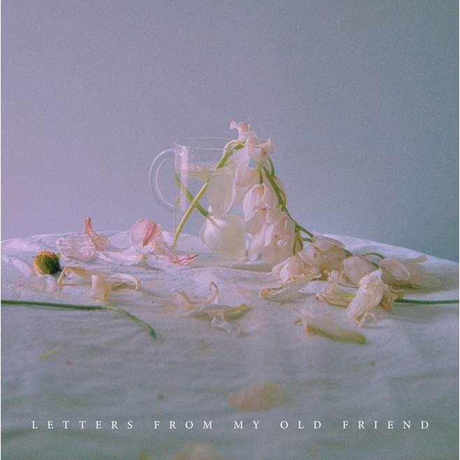 ƼºêÀ̵¥Àϸ® Æ÷Åä