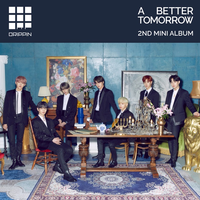 ƼºêÀ̵¥Àϸ® Æ÷Åä