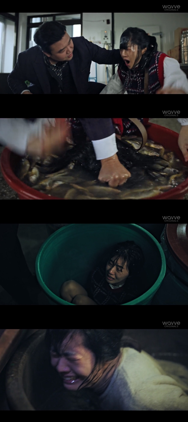 티브이데일리 포토