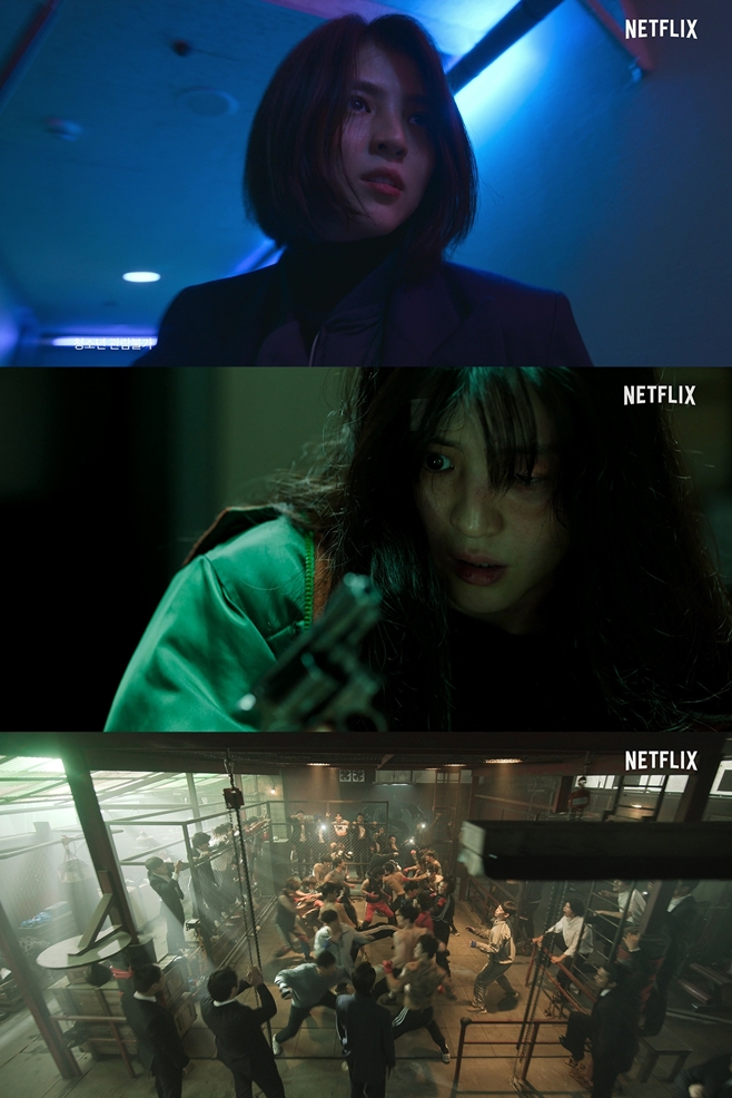 티브이데일리 포토