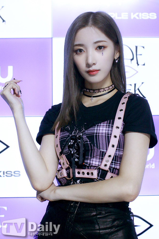 Ƽ���̵��ϸ� ����