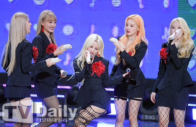 티브이데일리 포토