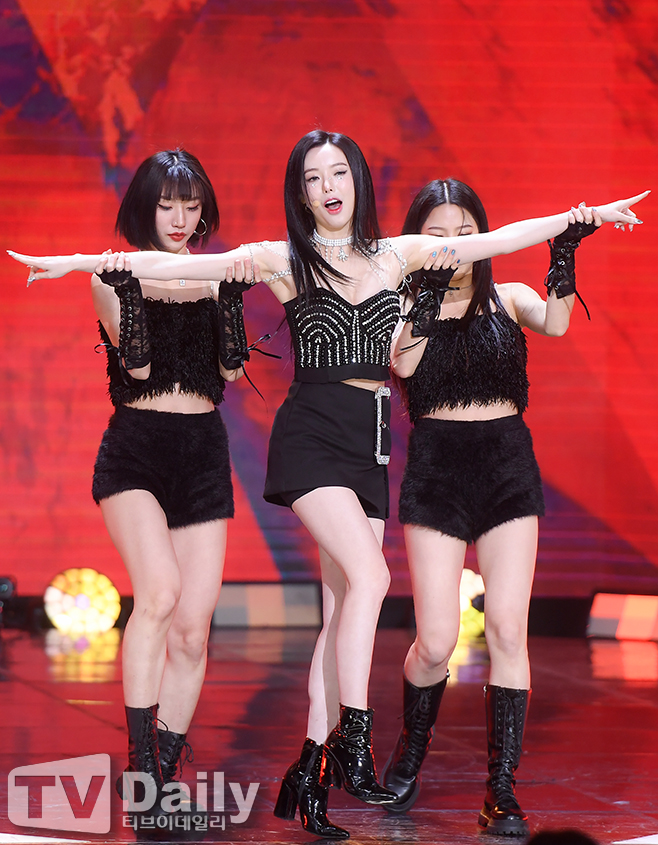 티브이데일리 포토