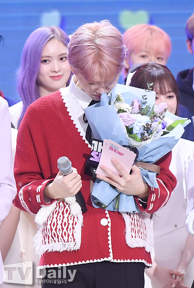 티브이데일리 포토