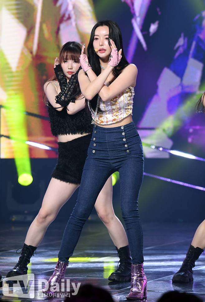 티브이데일리 포토