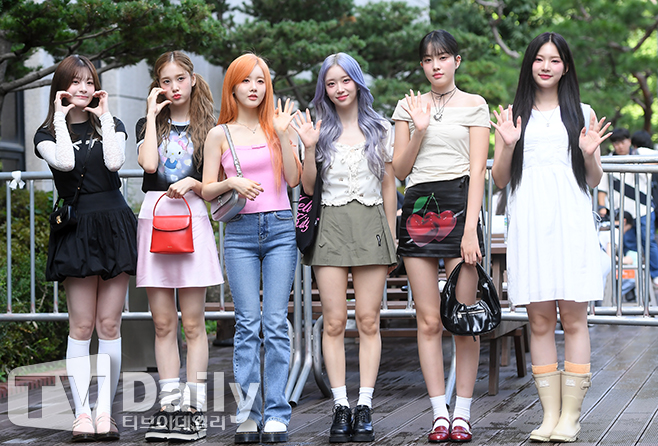 티브이데일리 포토